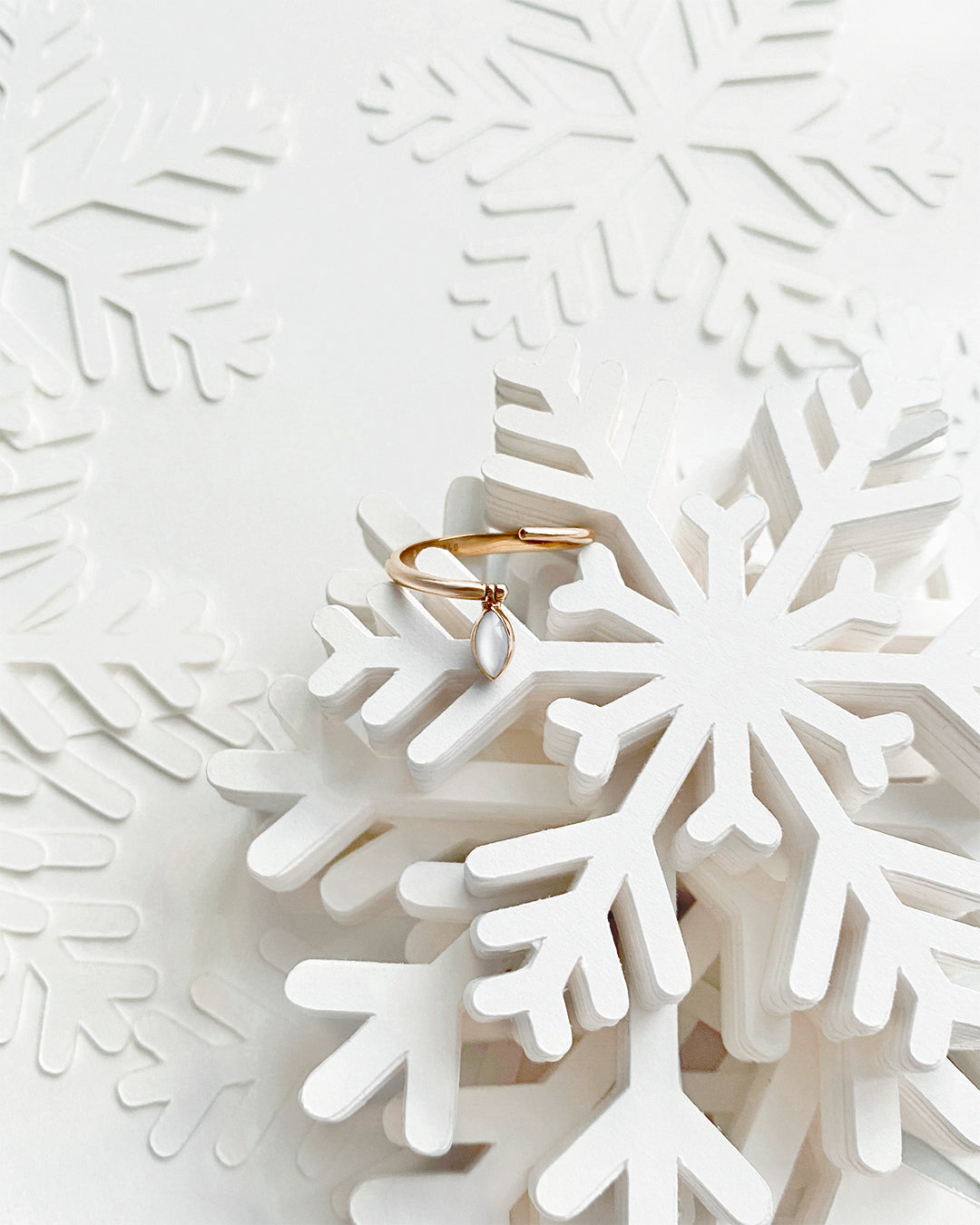 Winter Holiday Season